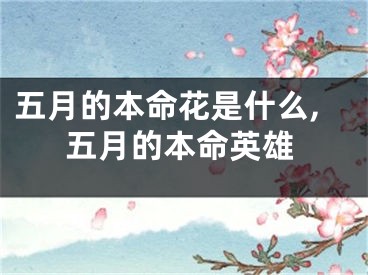 五月的本命花是什么,五月的本命英雄