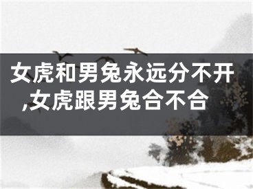 女虎和男兔永远分不开,女虎跟男兔合不合