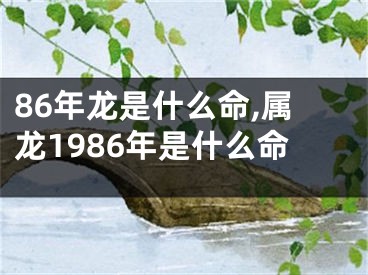 86年龙是什么命,属龙1986年是什么命