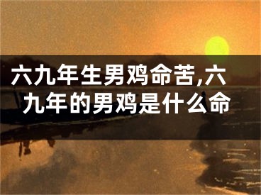 六九年生男鸡命苦,六九年的男鸡是什么命