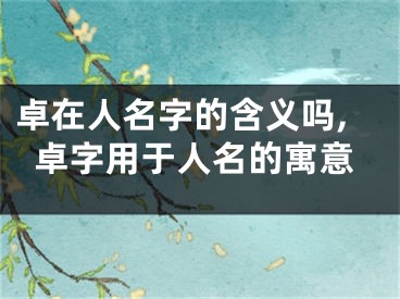 卓在人名字的含义吗,卓字用于人名的寓意