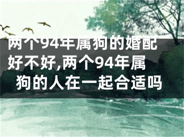 两个94年属狗的婚配好不好,两个94年属狗的人在一起合适吗