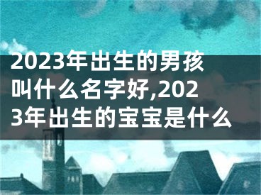 2023年出生的男孩叫什么名字好,2023年出生的宝宝是什么