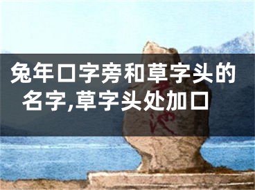 兔年口字旁和草字头的名字,草字头处加口