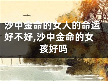 沙中金命的女人的命运好不好,沙中金命的女孩好吗