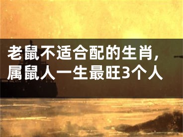 老鼠不适合配的生肖,属鼠人一生最旺3个人