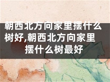 朝西北方向家里摆什么树好,朝西北方向家里摆什么树最好