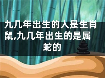 九几年出生的人是生肖鼠,九几年出生的是属蛇的
