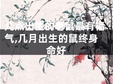 几点出生的老鼠最有福气,几月出生的鼠终身命好