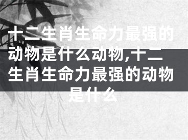 十二生肖生命力最强的动物是什么动物,十二生肖生命力最强的动物是什么