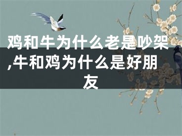 鸡和牛为什么老是吵架,牛和鸡为什么是好朋友