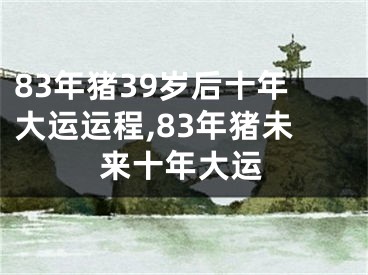 83年猪39岁后十年大运运程,83年猪未来十年大运