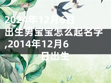2024年12月6日出生男宝宝怎么起名字,2014年12月6日出生