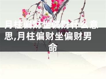 月柱偏财坐偏财什么意思,月柱偏财坐偏财男命