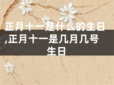 正月十一是什么的生日,正月十一是几月几号生日