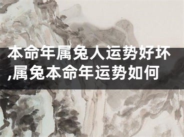 本命年属兔人运势好坏,属兔本命年运势如何