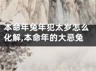 本命年兔年犯太岁怎么化解,本命年的大忌兔
