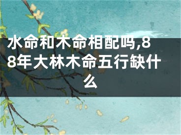 水命和木命相配吗,88年大林木命五行缺什么