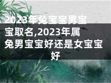 2023年兔宝宝男宝宝取名,2023年属兔男宝宝好还是女宝宝好
