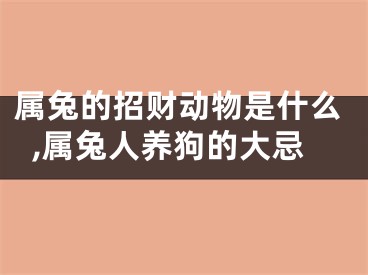 属兔的招财动物是什么,属兔人养狗的大忌