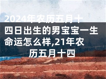 2024年农历五月十四日出生的男宝宝一生命运怎么样,21年农历五月十四
