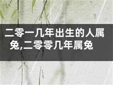 二零一几年出生的人属兔,二零零几年属兔