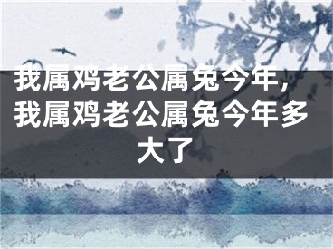 我属鸡老公属兔今年,我属鸡老公属兔今年多大了