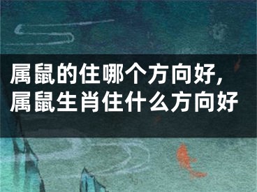 属鼠的住哪个方向好,属鼠生肖住什么方向好