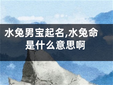 水兔男宝起名,水兔命是什么意思啊