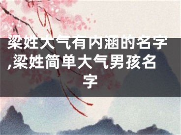 梁姓大气有内涵的名字,梁姓简单大气男孩名字