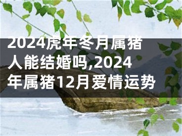 2024虎年冬月属猪人能结婚吗,2024年属猪12月爱情运势