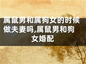 属鼠男和属狗女的时候做夫妻吗,属鼠男和狗女婚配