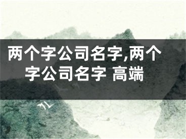 两个字公司名字,两个字公司名字 高端