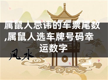 属鼠人忌讳的车票尾数,属鼠人选车牌号码幸运数字