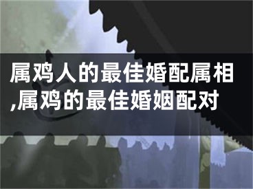 属鸡人的最佳婚配属相,属鸡的最佳婚姻配对