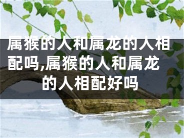 属猴的人和属龙的人相配吗,属猴的人和属龙的人相配好吗
