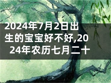 2024年7月2日出生的宝宝好不好,2024年农历七月二十