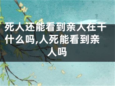 死人还能看到亲人在干什么吗,人死能看到亲人吗