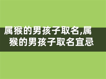 属猴的男孩子取名,属猴的男孩子取名宜忌