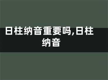日柱纳音重要吗,日柱 纳音