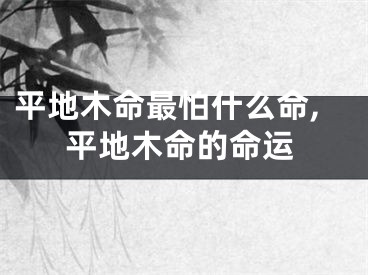 平地木命最怕什么命,平地木命的命运