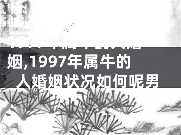 1997年属牛的人婚姻,1997年属牛的人婚姻状况如何呢男