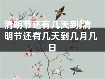 清明节还有几天到,清明节还有几天到几月几日