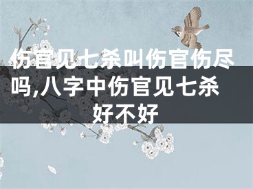 伤官见七杀叫伤官伤尽吗,八字中伤官见七杀好不好