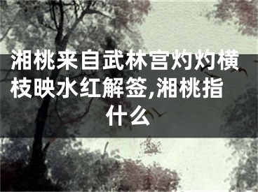湘桃来自武林宫灼灼横枝映水红解签,湘桃指什么