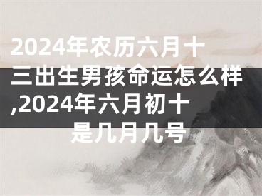 2024年农历六月十三出生男孩命运怎么样,2024年六月初十是几月几号