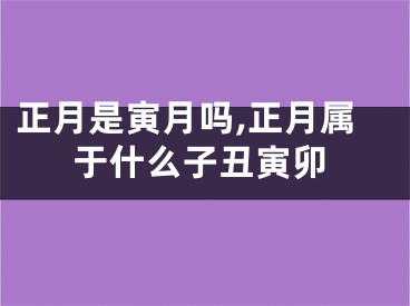 正月是寅月吗,正月属于什么子丑寅卯