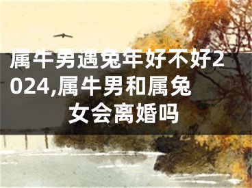 属牛男遇兔年好不好2024,属牛男和属兔女会离婚吗