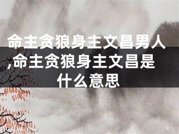 命主贪狼身主文昌男人,命主贪狼身主文昌是什么意思