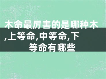 木命最厉害的是哪种木,上等命,中等命,下等命有哪些